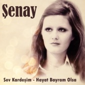 Sev Kardeşim - Hayat Bayram Olsa artwork