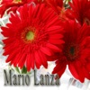 Mario Lanza artwork