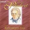 Franz Schubert : The Complete Piano Trios artwork