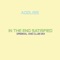 In the End Satisfied - Addliss lyrics
