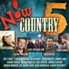 Luke Bryan - Country Girl (Shake It for Me)