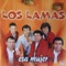 Amor Herido - Los Lamas lyrics