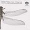 Beles (Estroe Remix) - Stefan Tretau lyrics