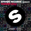 Spinnin' Records Presents Yearmix 2012, 2012