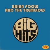 Brian Poole & The Tremeloes: Big Hits artwork
