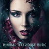 Minimal Tech House Music, 2012