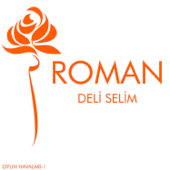 Roman 1 - Deli Selim