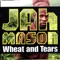 Mi Chalwa - Jah Mason lyrics