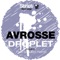Droplet (Paul Schulleri Remix) - Avrosse lyrics