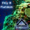 Platskom (Sylvain Sturn Remix) - Fely B lyrics