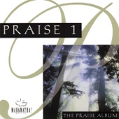 Praise 1: The Praise Album artwork