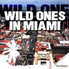 Wild Ones in Miami, 2012