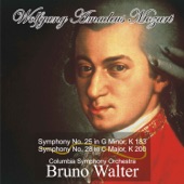 Mozart: Symphony No. 25 in G Minor, K 183 - Symphony No. 28 in C Major, K 200 artwork