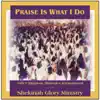 Praise Is What I Do album lyrics, reviews, download