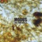 Alcohol - Modus lyrics