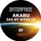 Sax My Bitch Up (Audiojack Mix) - Akabu & Dave Lee lyrics