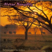 African Tranquility: The Contemplative Soul of Africa artwork