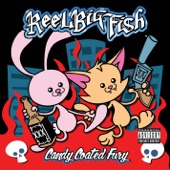 Reel Big Fish - Don't Let Me Down Gently