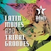 Latin Moves and Tribal Grooves artwork