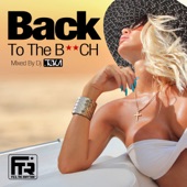 Back to the B**ch (Mixed by DJ Toka) artwork