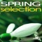 Season Selection - Spring - Mr Pit lyrics