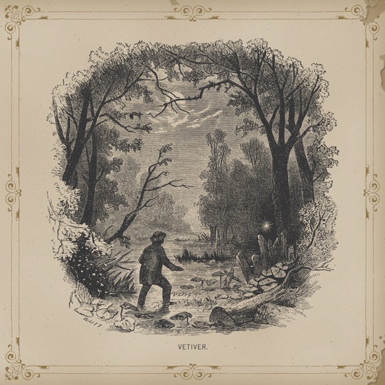 Cover artwork for Belles
