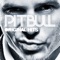 Shake (feat. Pitbull & Ying Yang Twins) - Pitbull lyrics
