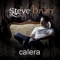 Vueltas (feat. David Berkeley) - Steve Brian lyrics