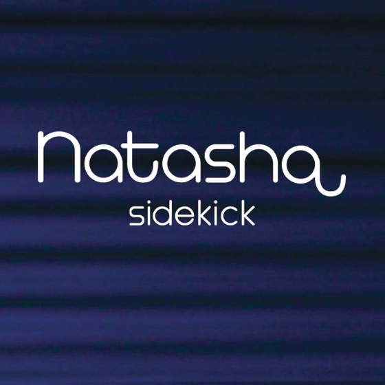 Cover artwork for Sidekick