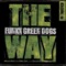 The Way (Club 69's Yuro Radio Mix) - Funky Green Dogs lyrics