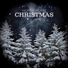 North Point Christmas (Deluxe Edition)