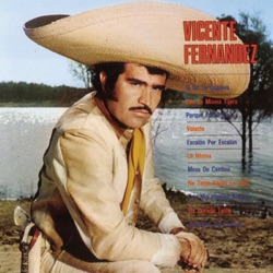 Vicente Fernández - Borracho Sin Cantina