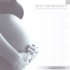 Music for Pregnancy (Relax and Calm Music for Pregnant Mothers Compiled by DJ MNX), 2013