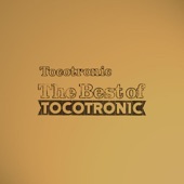 The Best of Tocotronic artwork