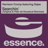 Searchin' (Felix Da Housecat's Mix) artwork