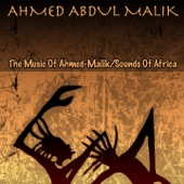 Ahmed Abdul Malik - Suffering