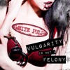 Vulgarity Is Not a Felony artwork