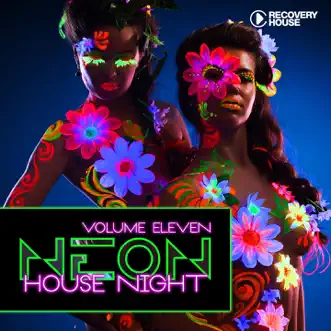 Neon House Night, Vol. 11 by Various Artists album reviews, ratings, credits