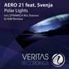 Polar Lights (feat. Svenja)