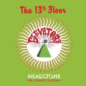 13th Floor Elevators - Roller Coaster