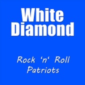 Rock N Roll Patriots artwork