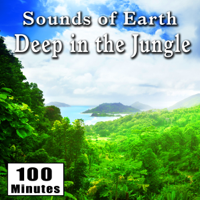 Acme Phone Company - Sounds of Earth: Deep in the Jungle artwork