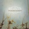 In Memory - Brightwood lyrics