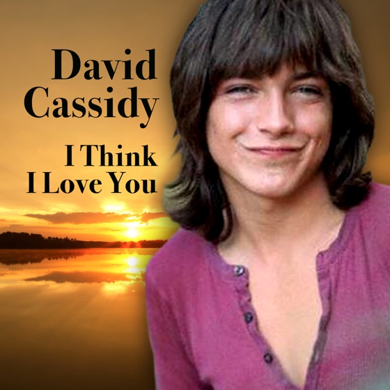 Cover artwork for I Think I Love You