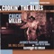 Can’t You See What You’re Doin to Me - Chick Willis lyrics