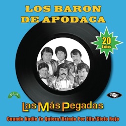 Los Barón de Apodaca - Cariño Santo