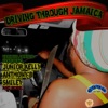 Driving Through Jamaica, 2012