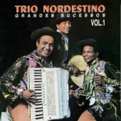 Forró Pesado - Trio Nordestino