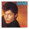 Chayanne, 1989