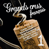 Les grands crus français (100 chansons, vol. 1) - Verschillende artiesten